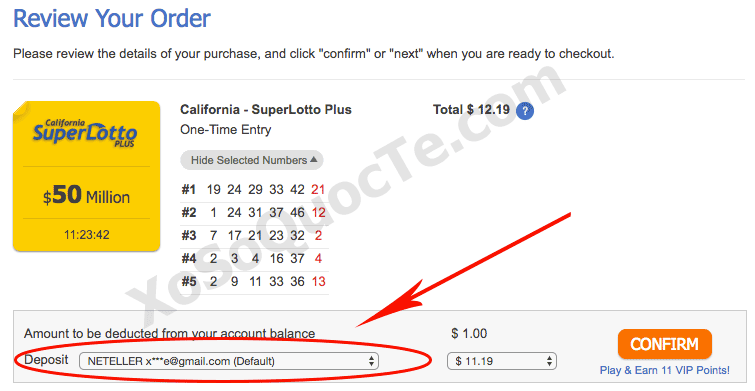 tich-hop-neteller-vao-thelotter-8