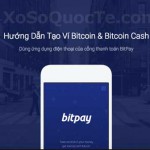 huong dan bitpay