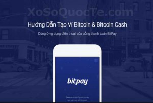 huong dan bitpay