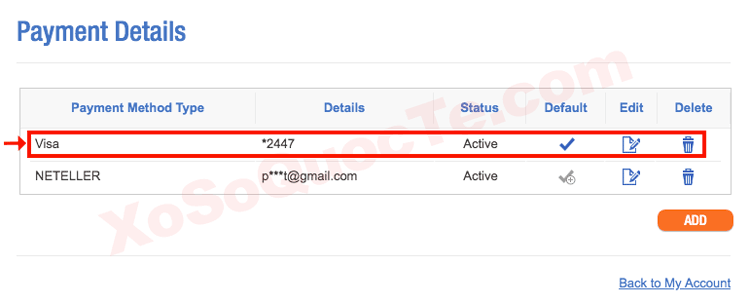 visa debit thelotter